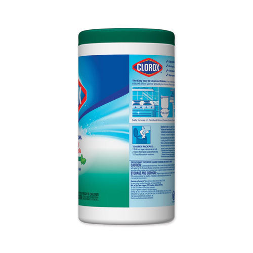 Clorox Disinfecting Wipes Fresh Scent White 75 Wipes (6 Pack) 01656