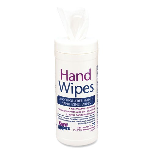 2XL Alcohol Free Hand Sanitizing Wipes, 7 x 8, White, 70-Canister, 6 Canisters-Carton TXL 470 - Becauze