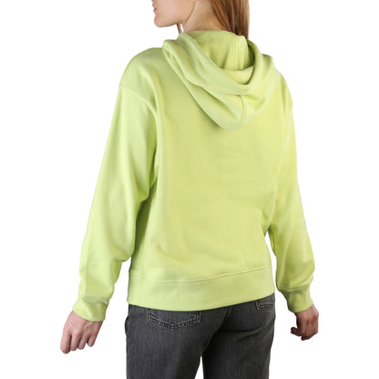 Levi's Standard Hoodie Green Women's Sweatshirt 246930034