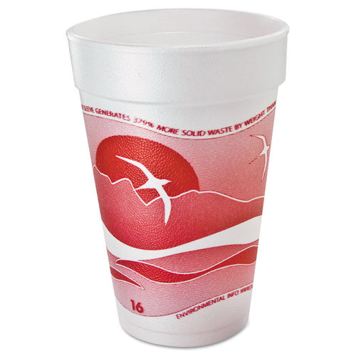 Dart Horizon Hot-Cold Foam Drinking Cups, 16 oz, Printed, Cranberry-White, 25-Bag, 40 Bags-Carton 16J16H