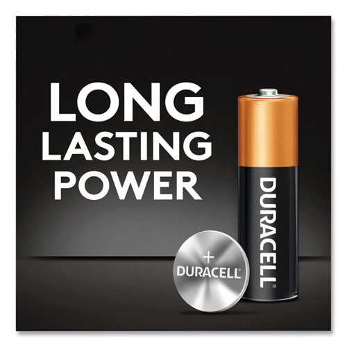 Duracell CopperTop Alkaline AA Batteries, 10-Pack MN1500B10Z