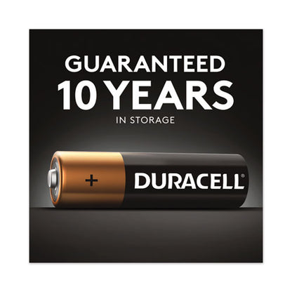 Duracell AA Coppertop Alkaline Batteries (2 Count) MN1500B2Z