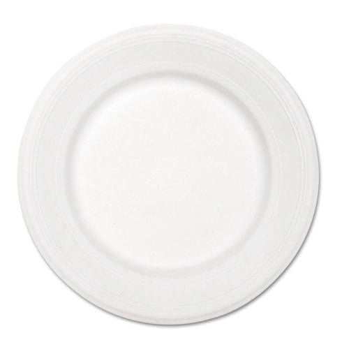 Chinet Paper Dinnerware, Plate, 10.5" dia, White, 500-Carton 21217