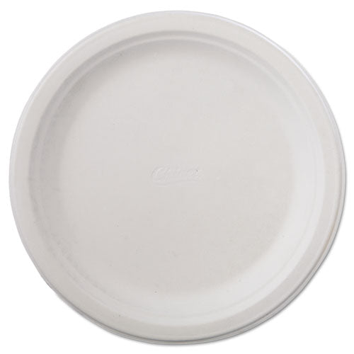 Chinet Classic Paper Dinnerware, Plate, 9.75" dia, White, 125-Pack, 4 Packs-Carton 21232
