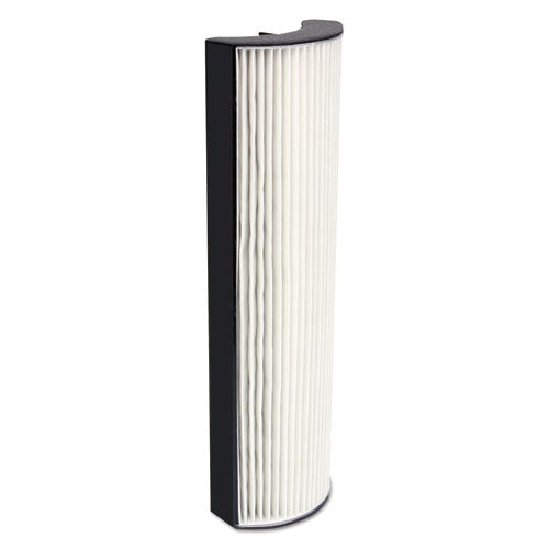 Allergy Pro Replacement Filter for Allergy Pro 200 Air Purifier, 5 x 3 x 17 49294