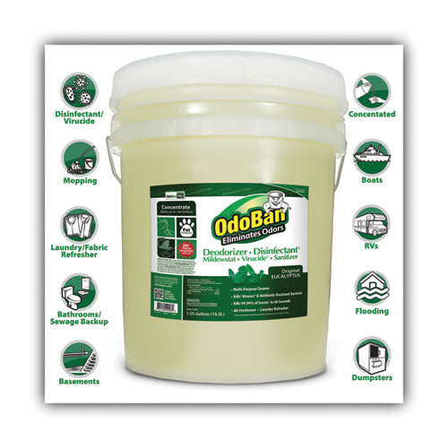 OdoBan Concentrated Odor Eliminator and Disinfectant, Eucalyptus, 5 gal Pail 911062-5G