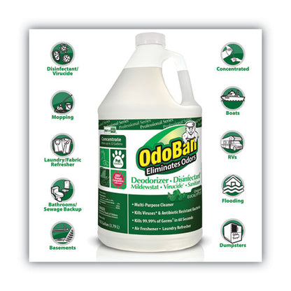 OdoBan Concentrated Odor Eliminator, Eucalyptus, 1 gal Bottle, 4-Carton 911062G4