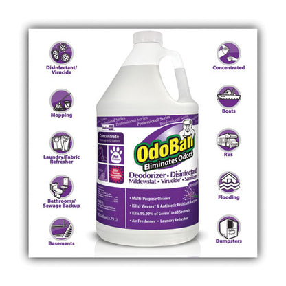 OdoBan Concentrate Odor Eliminator and Disinfectant, Lavender Scent, 1 gal Bottle, 4-Carton 911162-G4