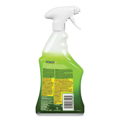 LIME-A-WAY Lime, Calcium and Rust Remover, 22 oz Spray Bottle 51700-87103