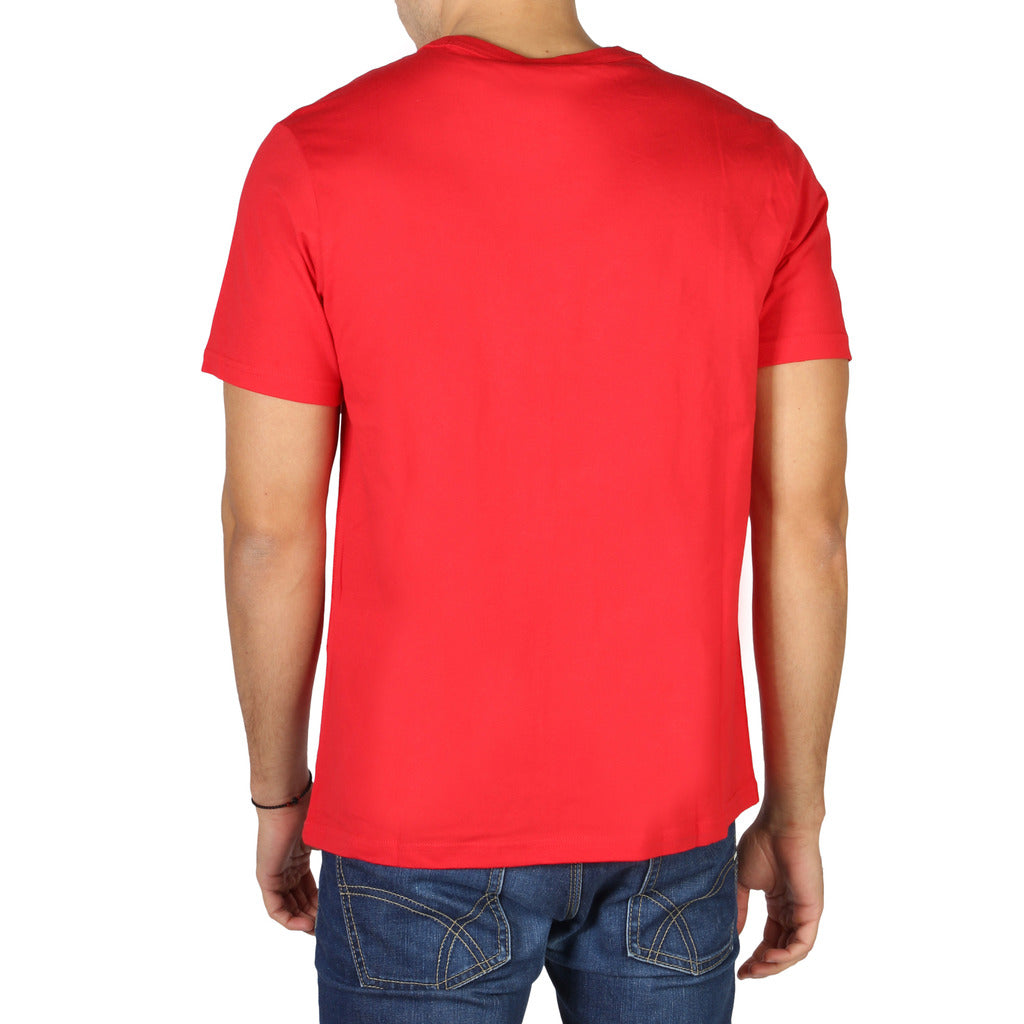 Champion Rochester 1919 Red Men's T-Shirt 214371-RS017-BYR